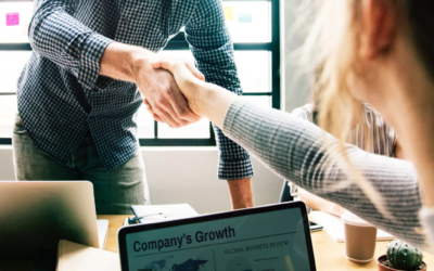 AYUDAS A LA PEQUEÑA Y MEDIANA EMPRESA Y OTRAS ENTIDADES PARA LA ELABORACIÓN E IMPLANTACIÓN DE PLANES DE IGUALDAD, CORRESPONDIENTES A 2019