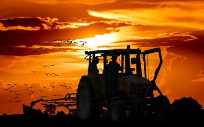 CIRCULAR COVID19: MEDIDAS EMPLEO AGRARIO