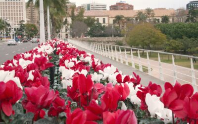 El Turismo de la Comunitat pierde casi 3.000 millones de euros por covid-19