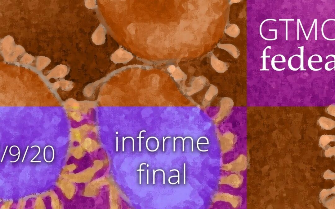 Informe Final del Grupo de Trabajo Mixto Covid-19