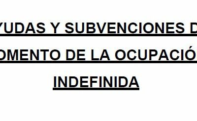 AYUDAS Y SUBVENCIONES DE FOMENTO DE LA OCUPACIÓN INDEFINIDA