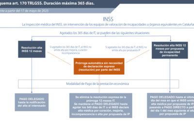 COMPETENCIAS SOBRE LOS PROCESOS IT